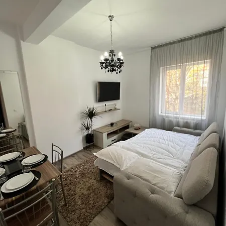 Cozy Apartamento Craiova