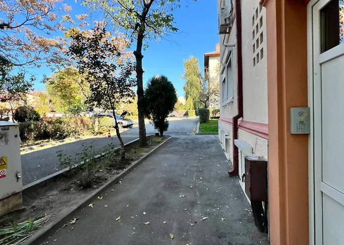 Cozy クラヨーヴァ