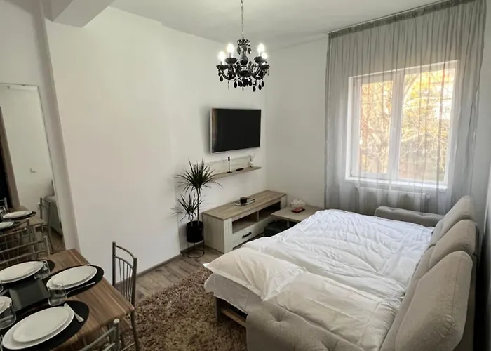 Cozy アパート クラヨーヴァ